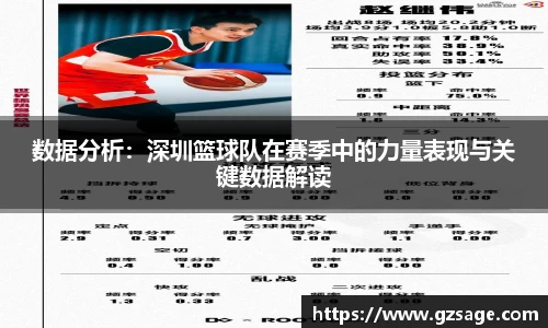 数据分析：深圳篮球队在赛季中的力量表现与关键数据解读