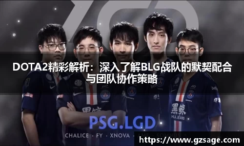 DOTA2精彩解析：深入了解BLG战队的默契配合与团队协作策略